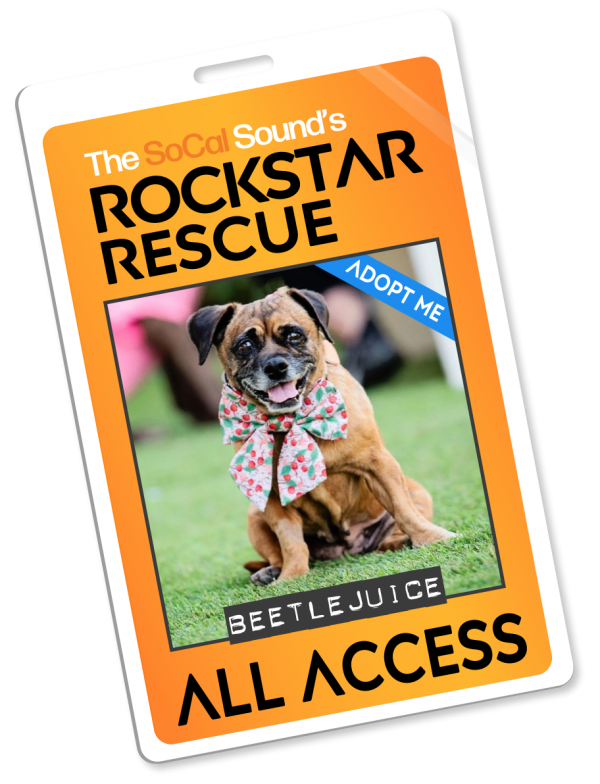 KCSN RockstarRescue PotW 092425 4 Pass