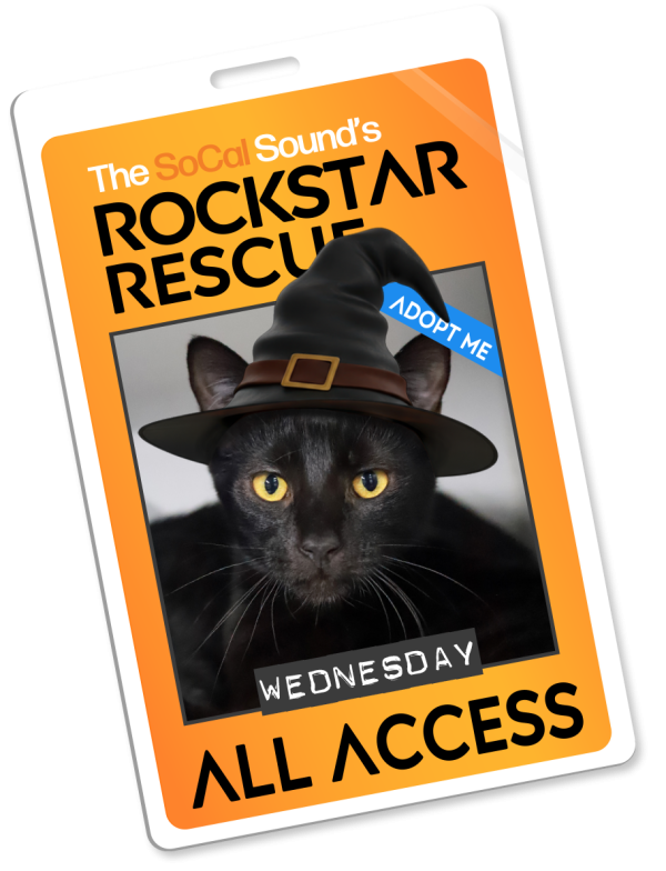 KCSN RockstarRescue PotW 102725 PassB