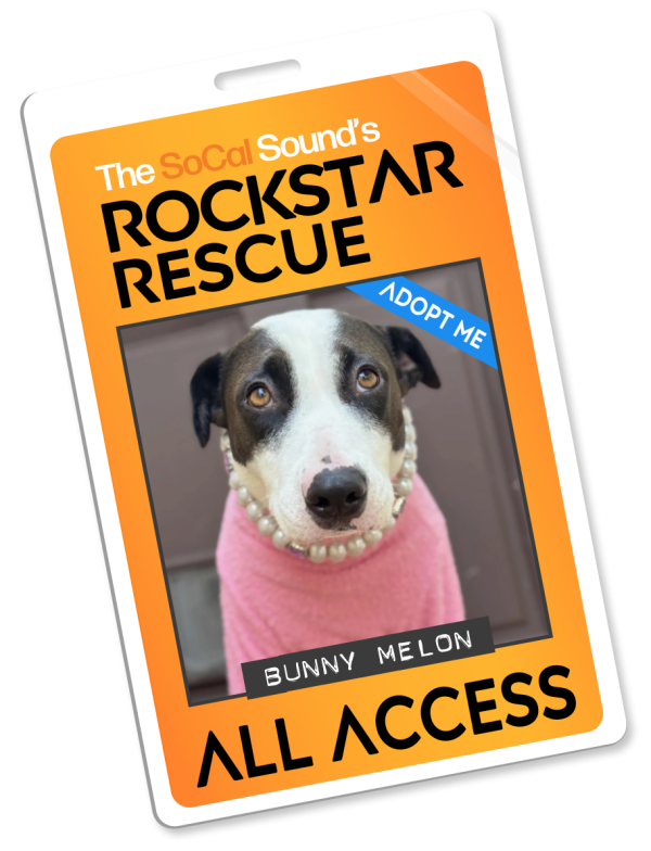 KCSN RockstarRescue PotW 120825 4 Pass