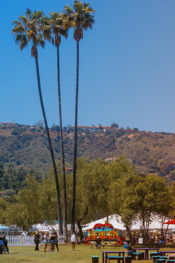 11 JUST LIKE HEAVEN 2713