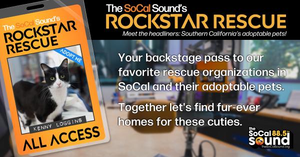 KCSN RockstarRescue PotW 070126 CreateOutlines FACEBOOK 1200x630