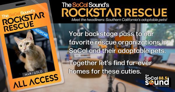 KCSN RockstarRescue PotW 070826 CreateOutlines FACEBOOK 1200x630 1