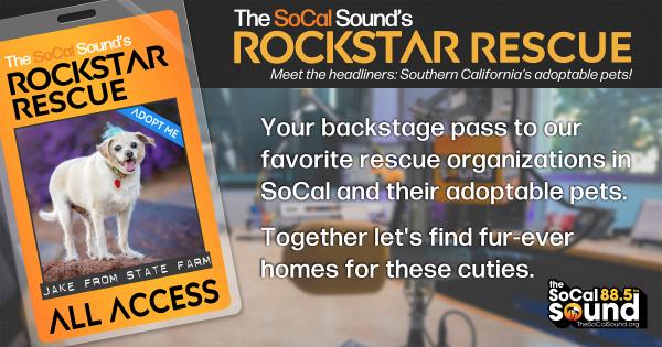 KCSN RockstarRescue PotW 091725 1 1200x630