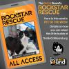 This Kenny Loggins will be singing his way into your life - our PET OF THE WEEK!